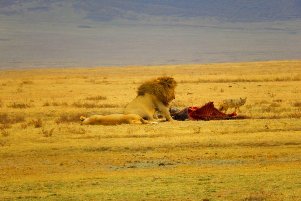 Serengeti National Park