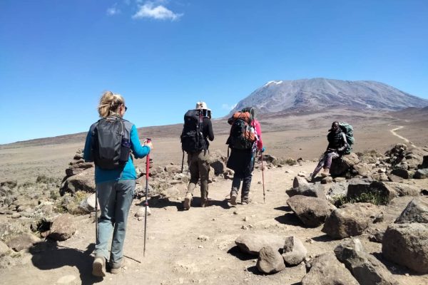 climb Kilimanjaro with Whitey Africanus