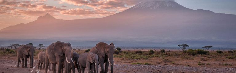 kilimanjaro-national-park-banner