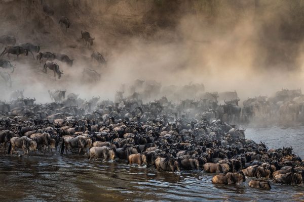 wildebeest-migration-safari-9-days