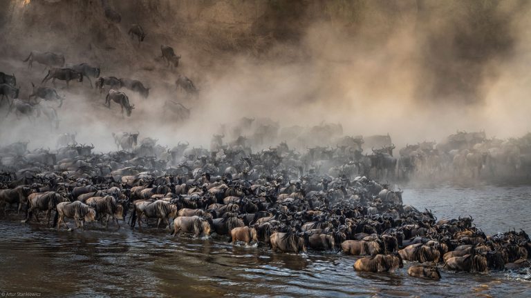 wildebeest-migration-safari-9-days